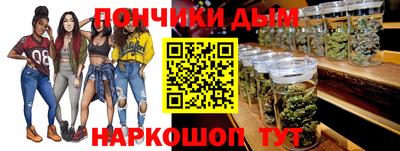 индика Нальчик